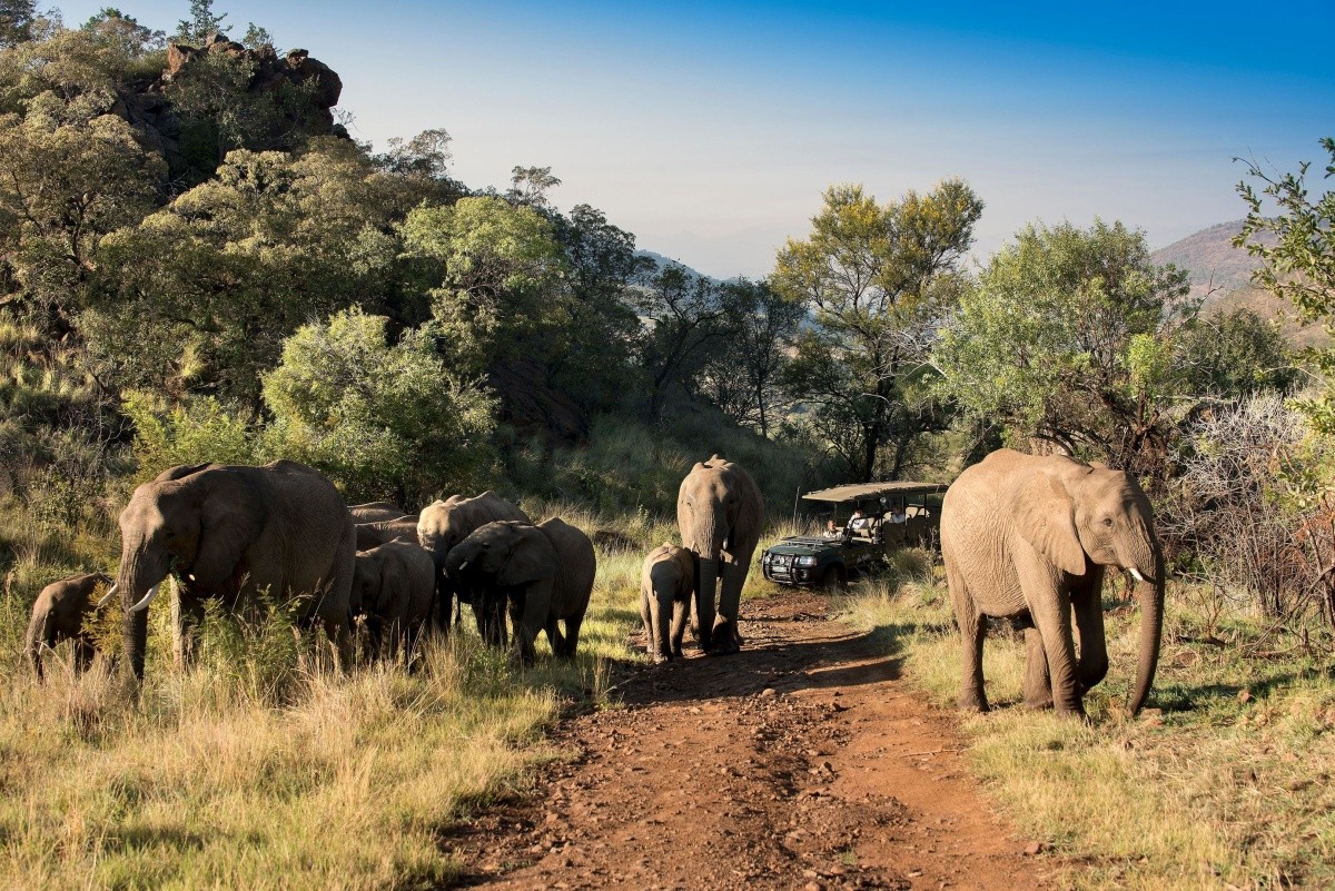 Hotel Kwa Maritane Bush Lodge