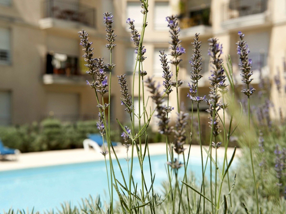 Hlavní obrázek galerie