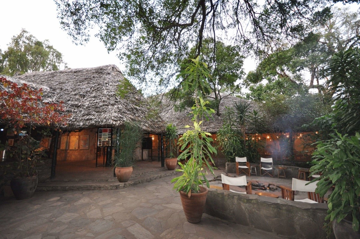 Hotel Fig Tree Camp