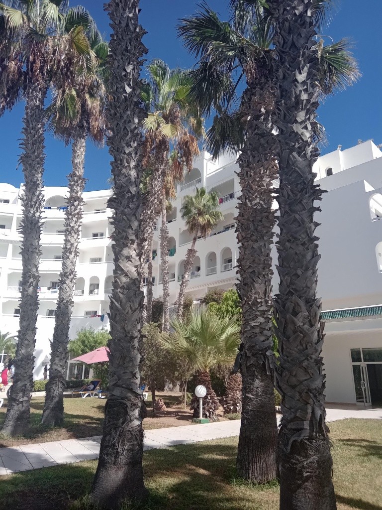 Hotel Eden Village Yadis Hammamet