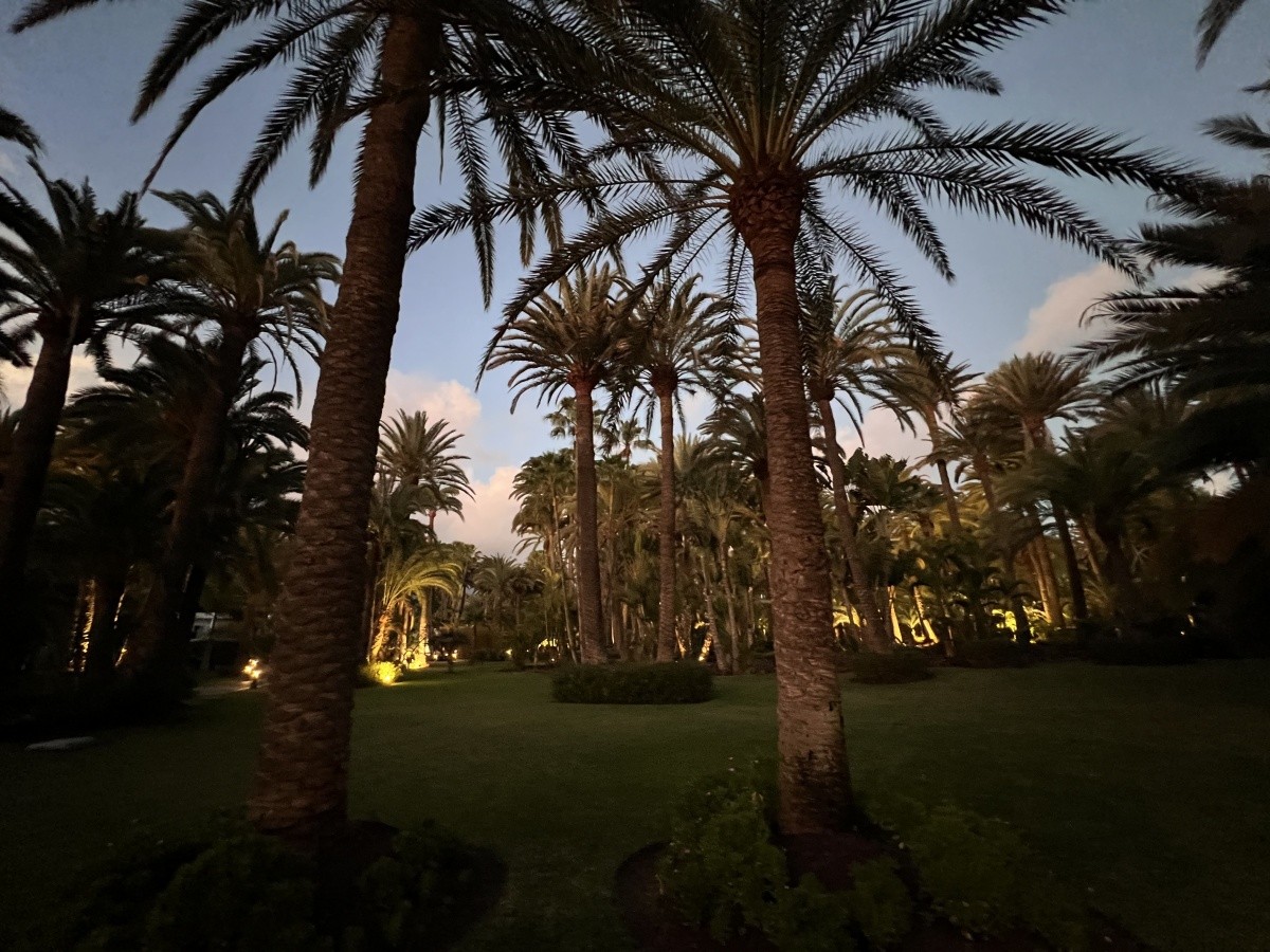 Hotel Riu Palace Oasis