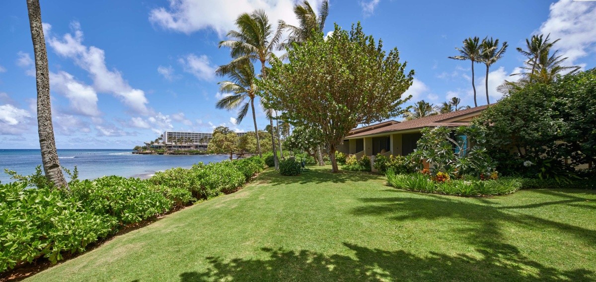 Główne zdjęcie galerii