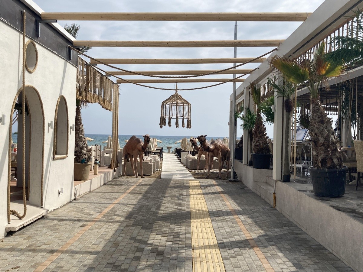 Hotel Stalis Beach