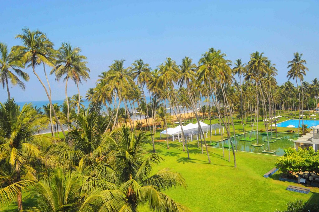 Główne zdjęcie galerii