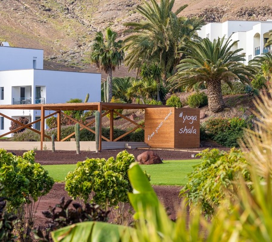 Główne zdjęcie galerii