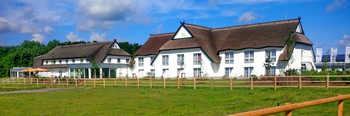 Główne zdjęcie galerii