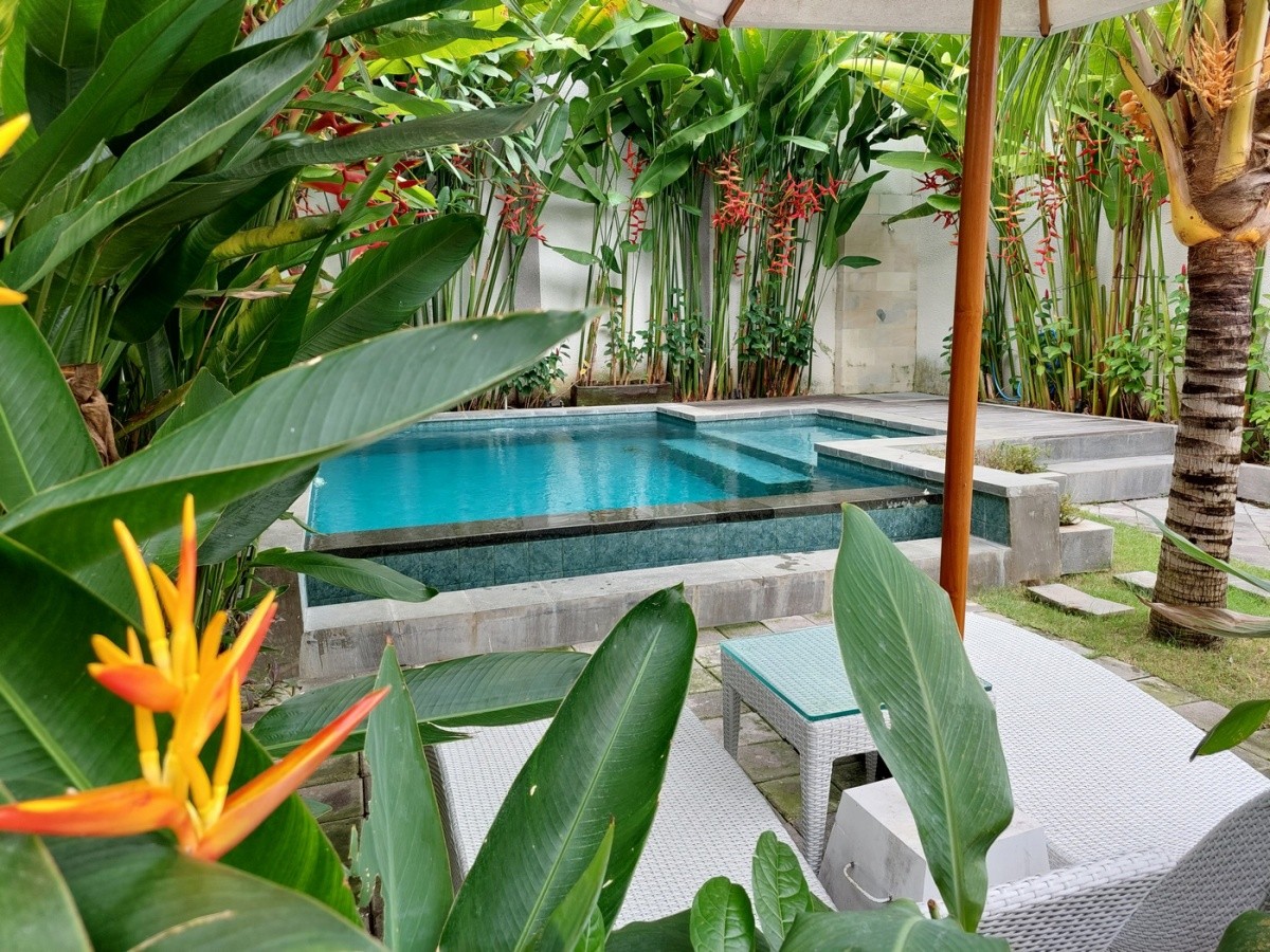 Hlavný obrázok galérie