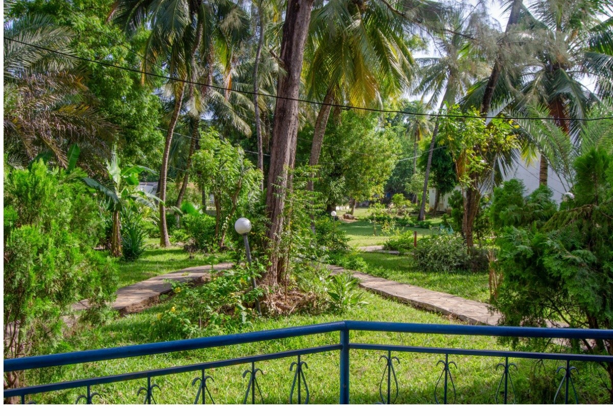 Hlavní obrázek galerie