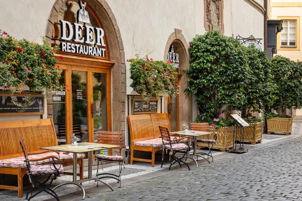 Hlavní obrázek galerie