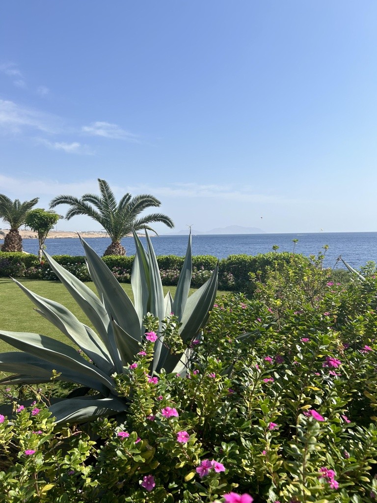 Hotel Stella Di Mare Beach Hotel & Spa