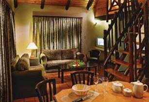 Główne zdjęcie galerii