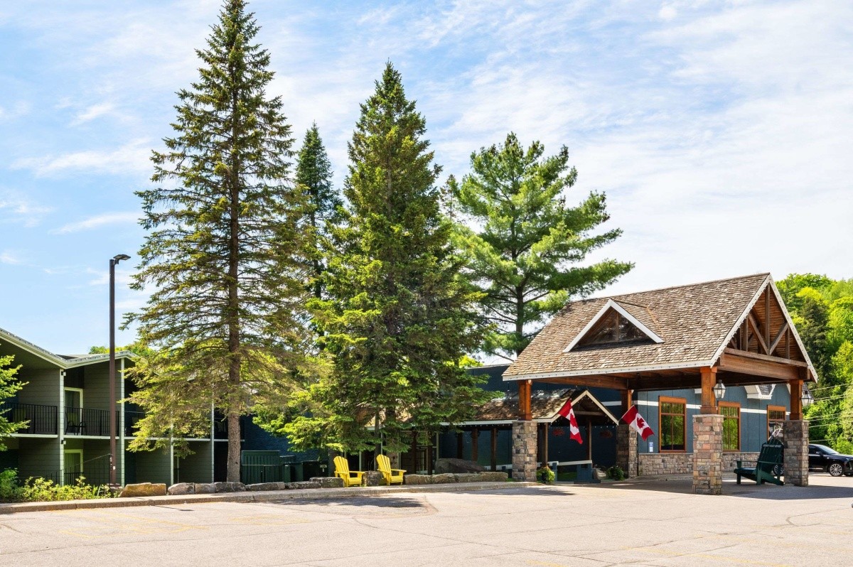 Główne zdjęcie galerii