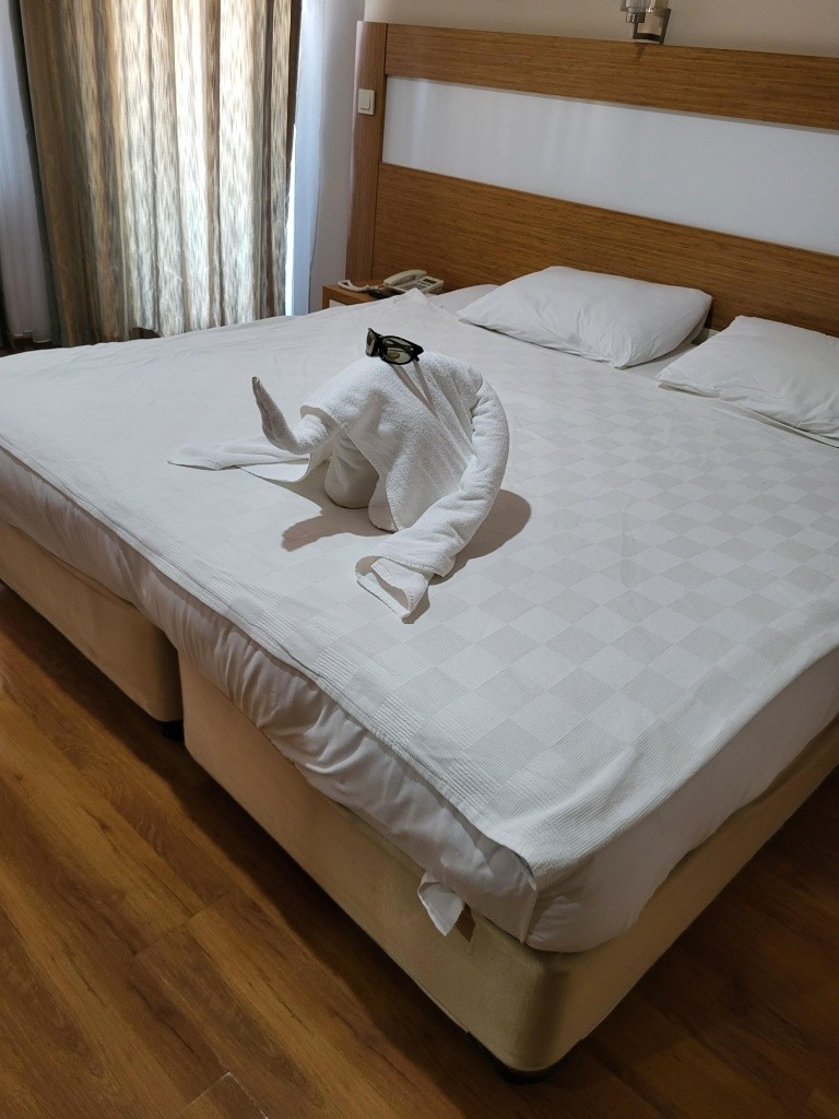 Hotel Lonicera City