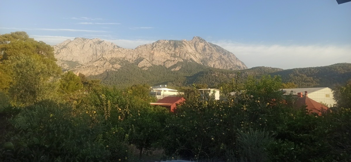 Hotel Woodline Village