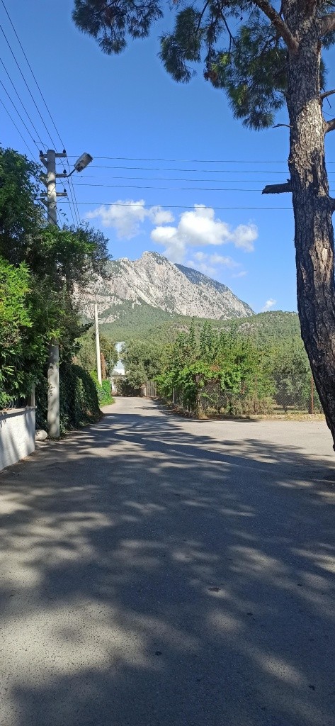 Hotel Woodline Village