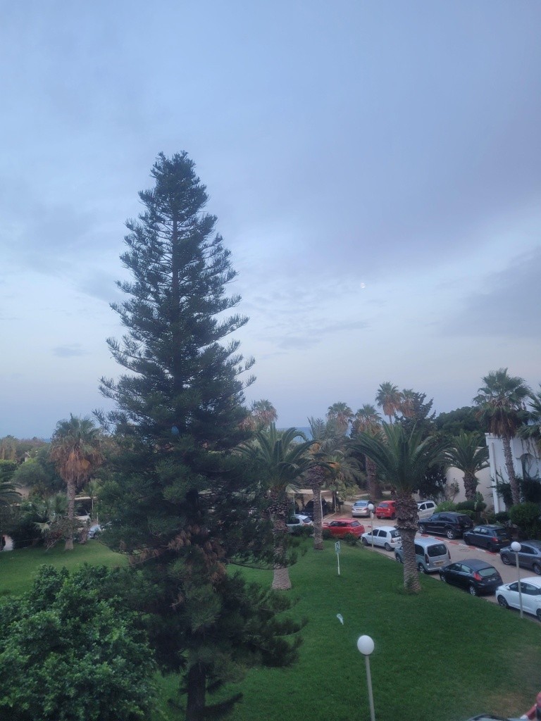 Hotel Eden Village Yadis Hammamet