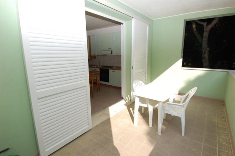 Hlavní obrázek galerie