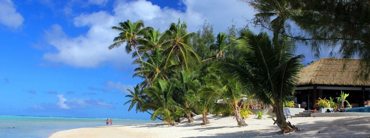 Hlavní obrázek galerie