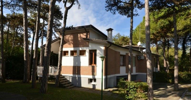 Hlavní obrázek galerie