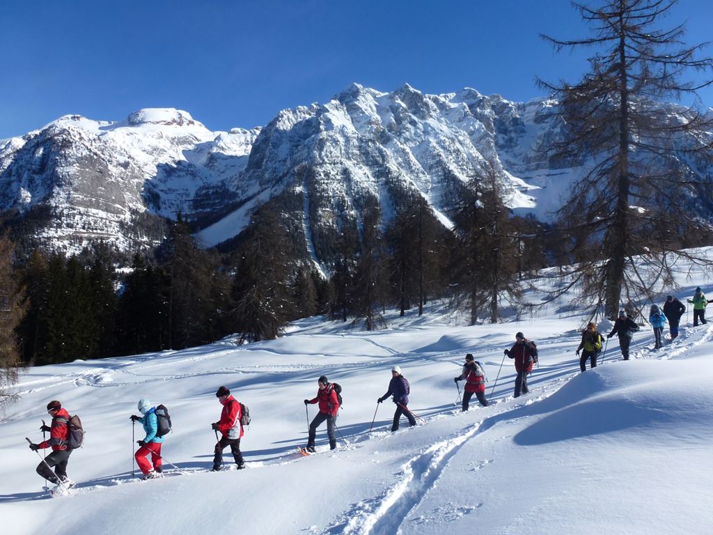 Residence Abete - Marilleva 1400, Marilleva Folgarida, Val di Sole, Trentino, CK GEOVITA