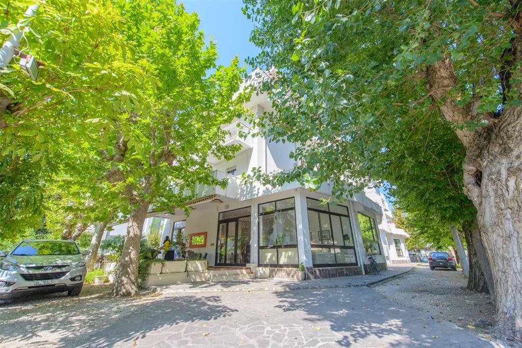 Hlavní obrázek galerie