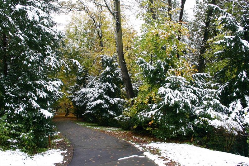 Hlavní obrázek galerie