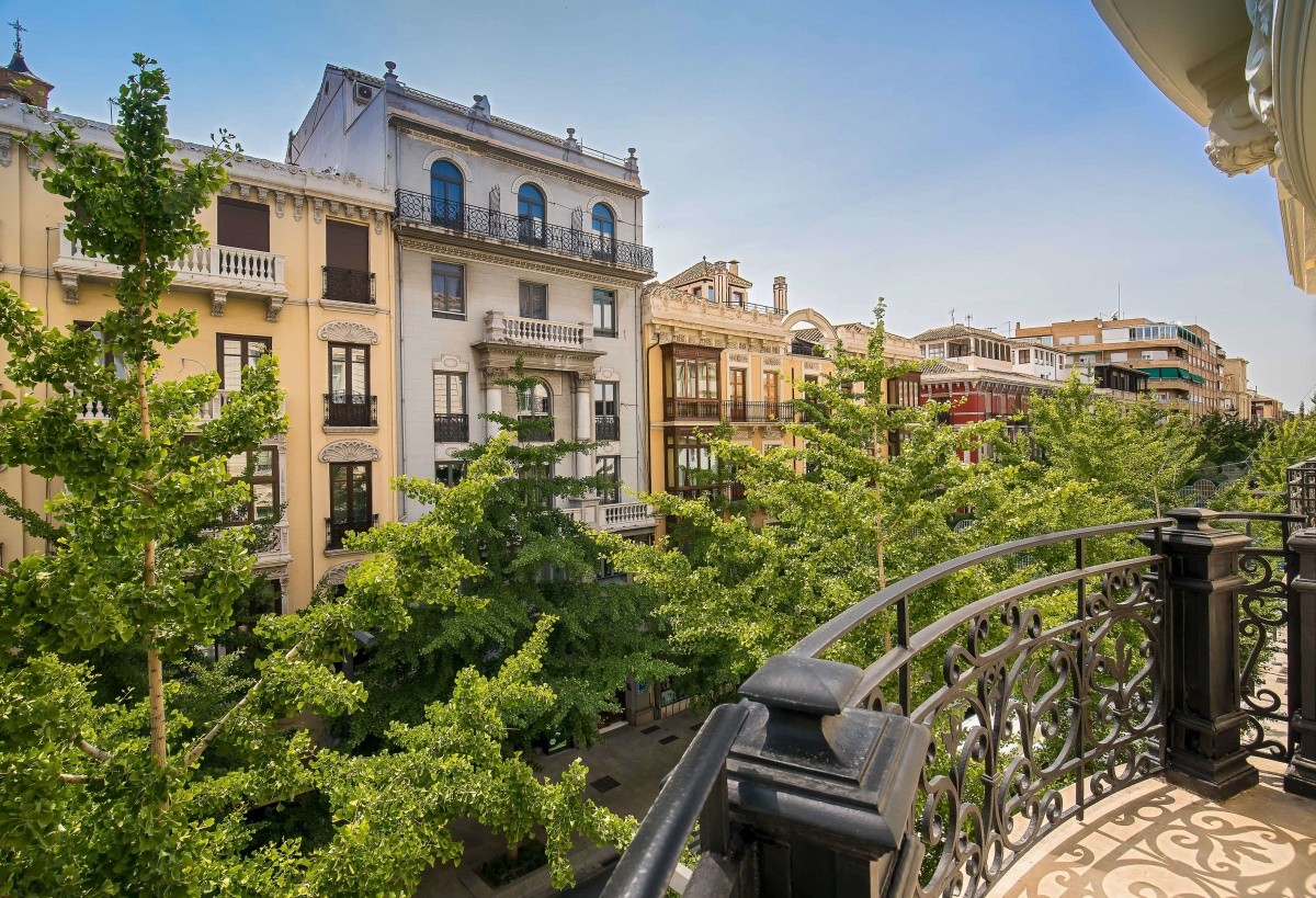 Hlavní obrázek galerie