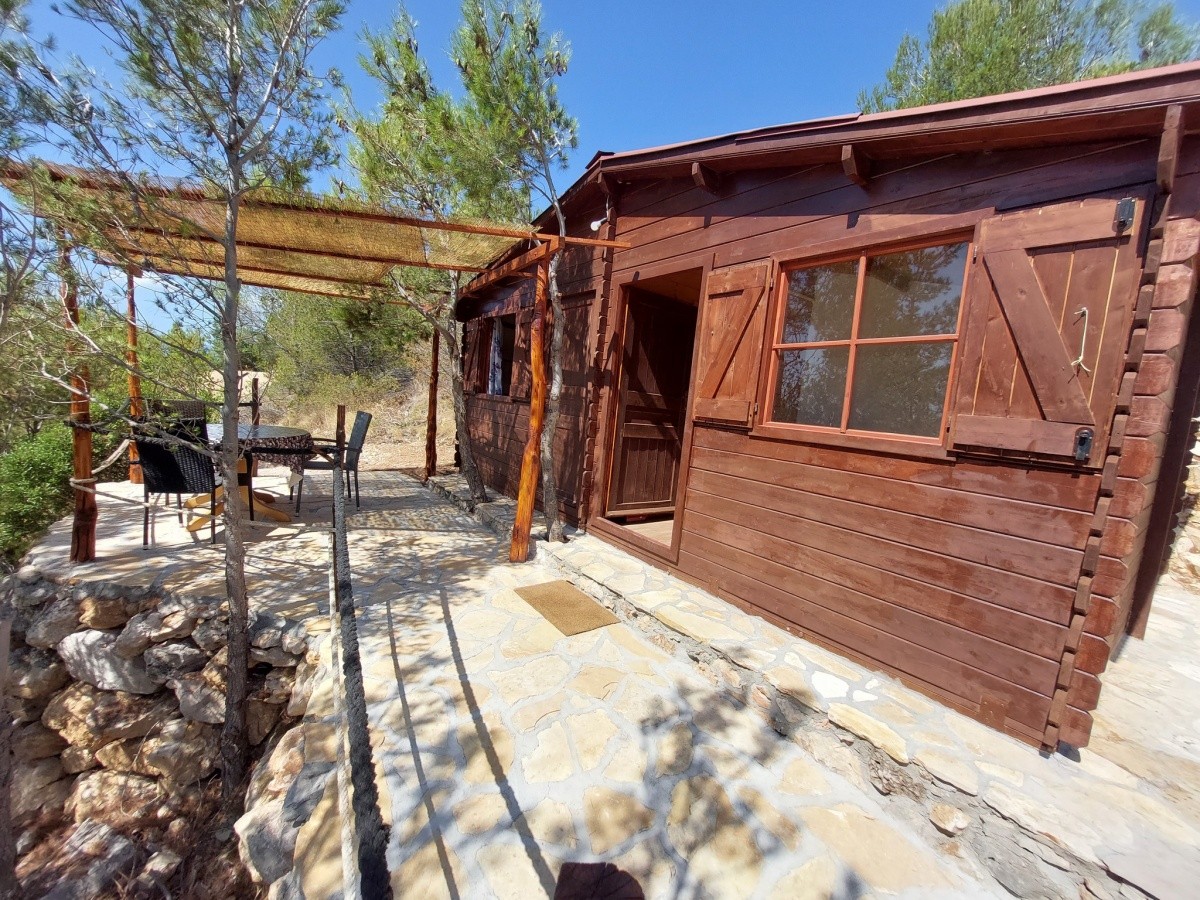 Hlavní obrázek galerie