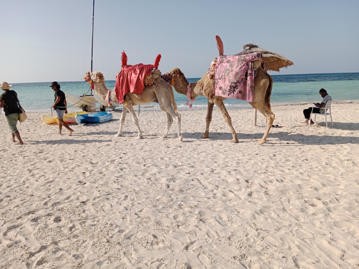 Hotel Seabel Rym Beach