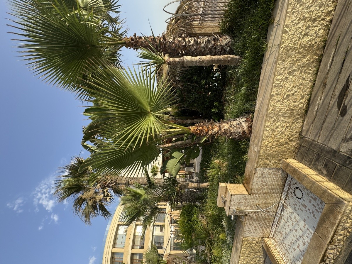 Hotel Sousse Palace & Spa