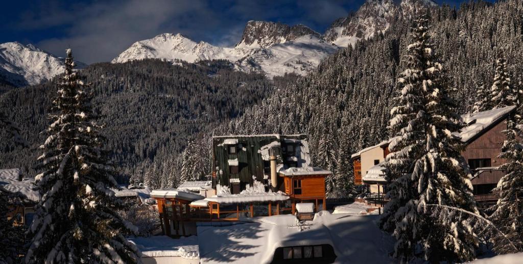 Hlavní obrázek galerie