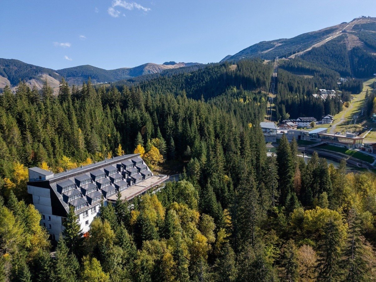 Hlavní obrázek galerie