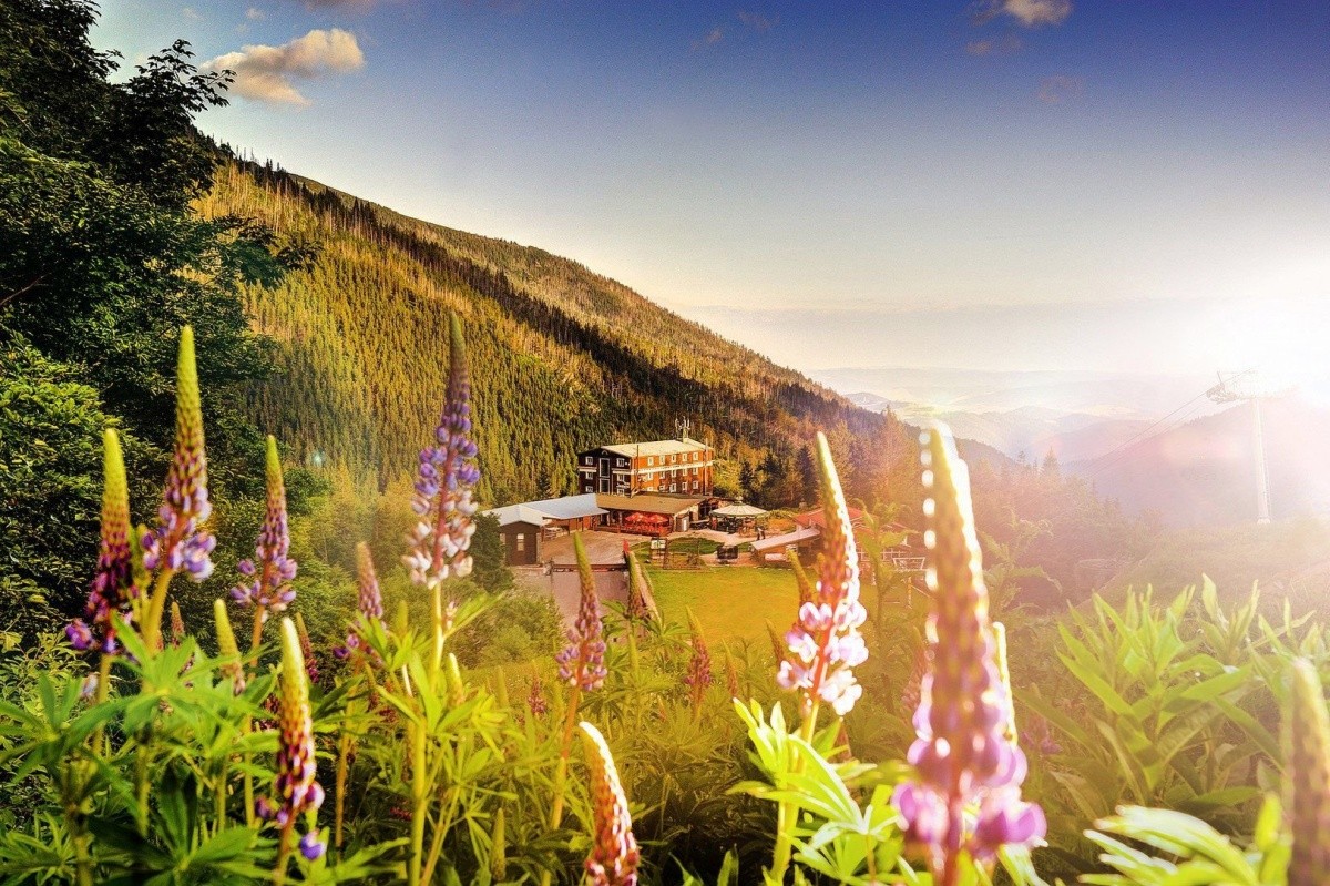 Hlavný obrázok galérie