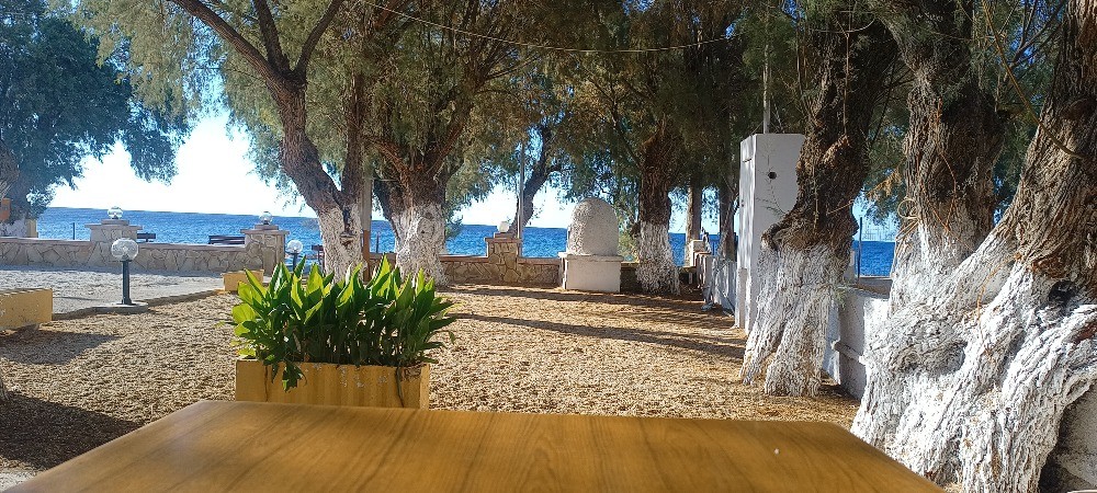 Hotel Sappho Beach (Vatera)