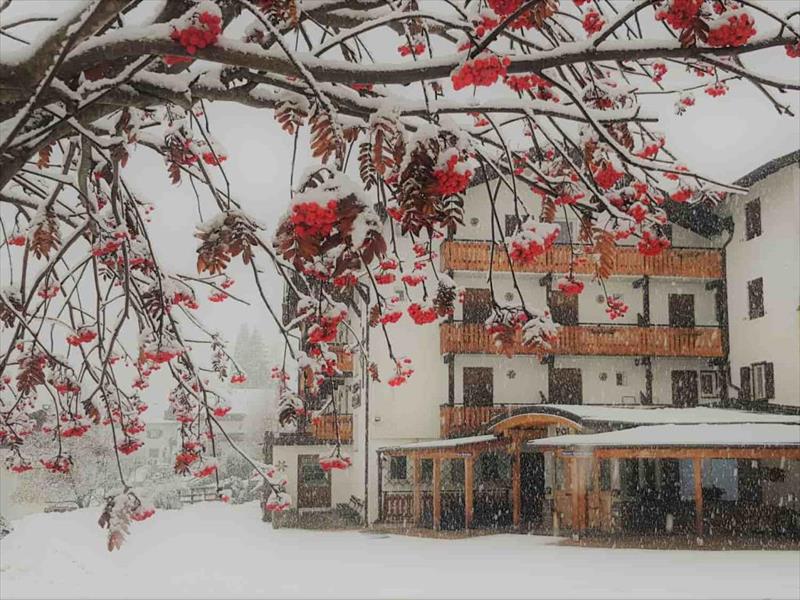 Hlavní obrázek galerie