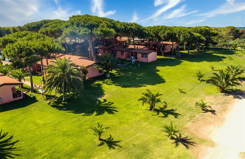 Hlavní obrázek galerie