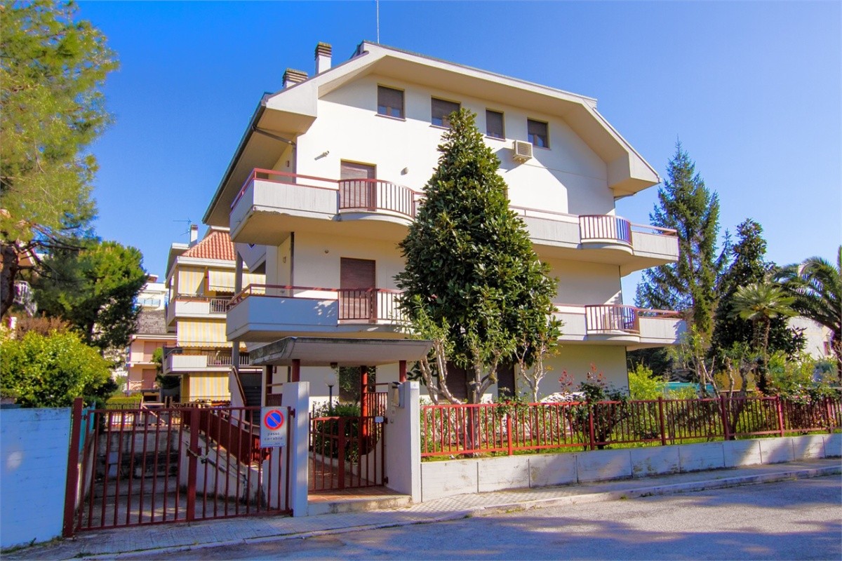 Pallazina Magnolia, San Benedetto del Tronto (1)