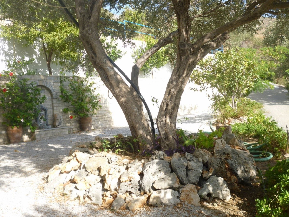 Główne zdjęcie galerii