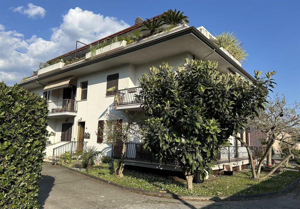Hotel Vila Adele - Marina di Massa