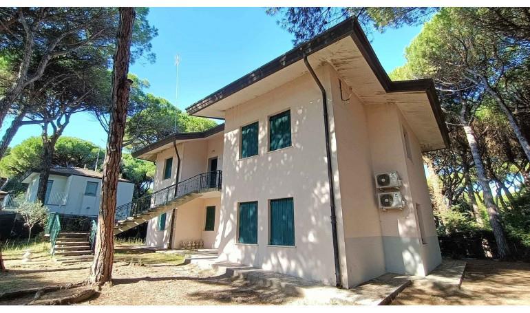 Hlavní obrázek galerie