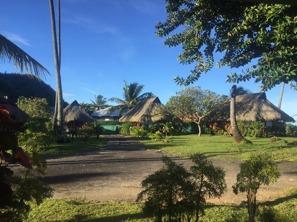 Hotel Hibiscus Moorea - Moorea