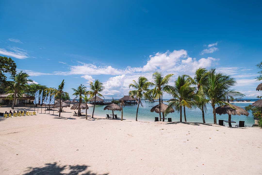 Hotel Bluewater Panglao Beach Resort