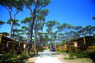 Hotel hu Park Albatros Village - San Vincenzo