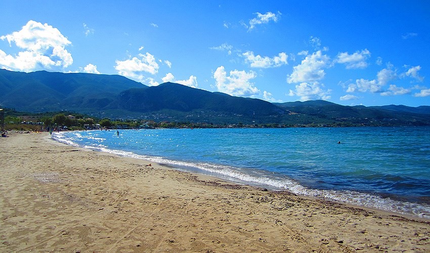 Hotel Studia Draganikos