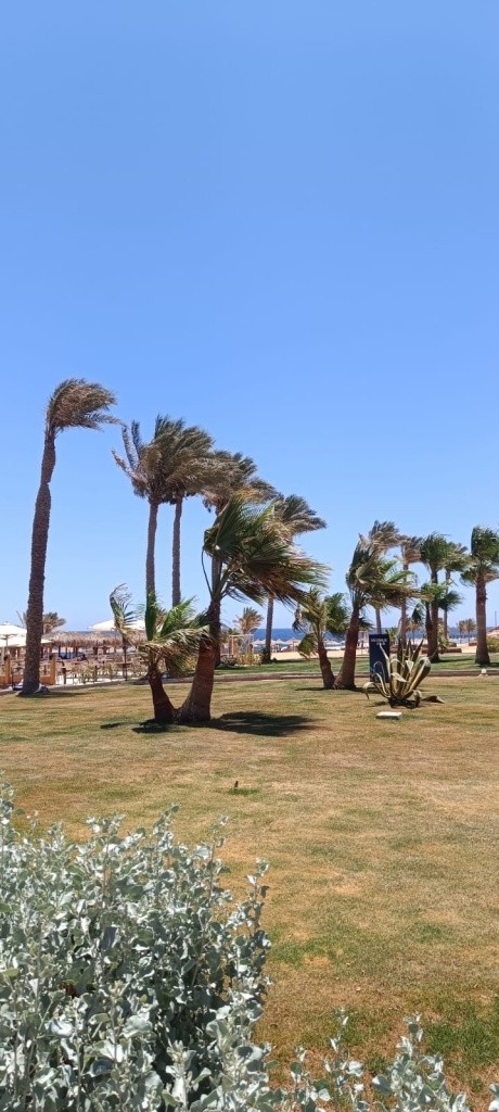 Hotel The Three Corners Sea Beach Resort