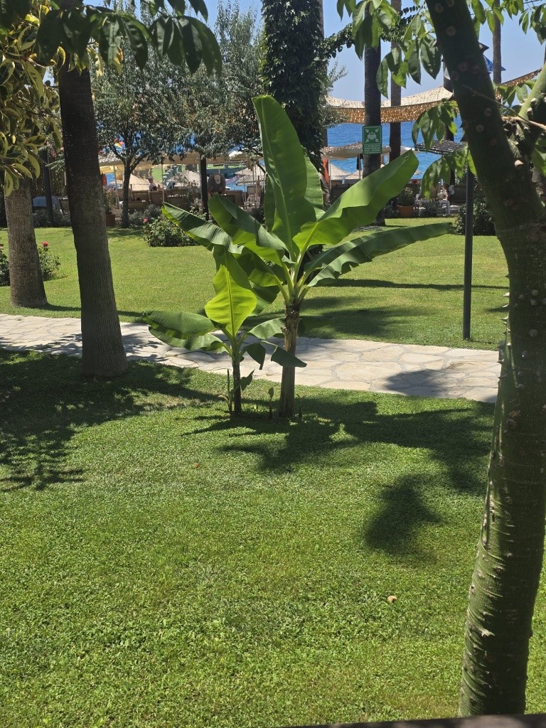 Hotel Meryan