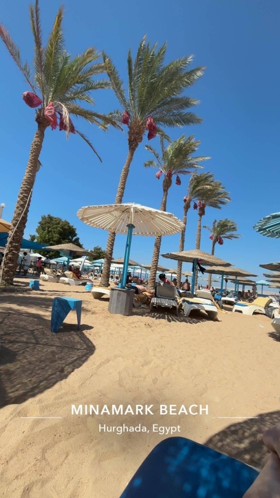 Hotel Minamark Beach Resort