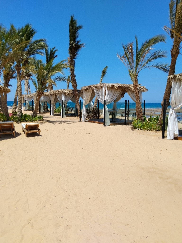 Hotel Desert Rose