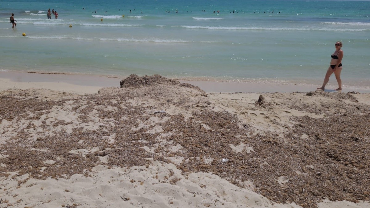 Hotel Seabel Aladin Djerba