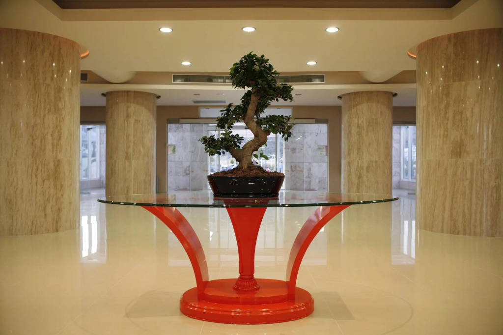 Hotel Sun Palace